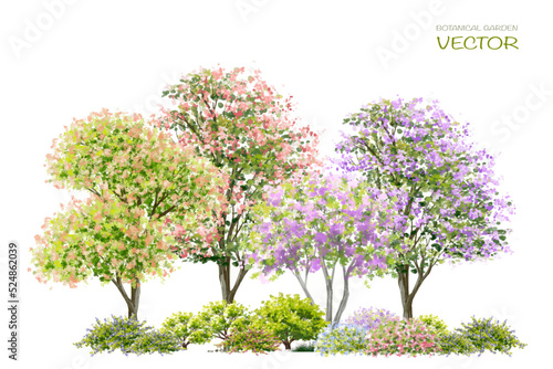 Vector watercolor blooming flower tree side view isolated on white background for landscape and architecture drawing, elements for environment or and garden,botanical elements for section 