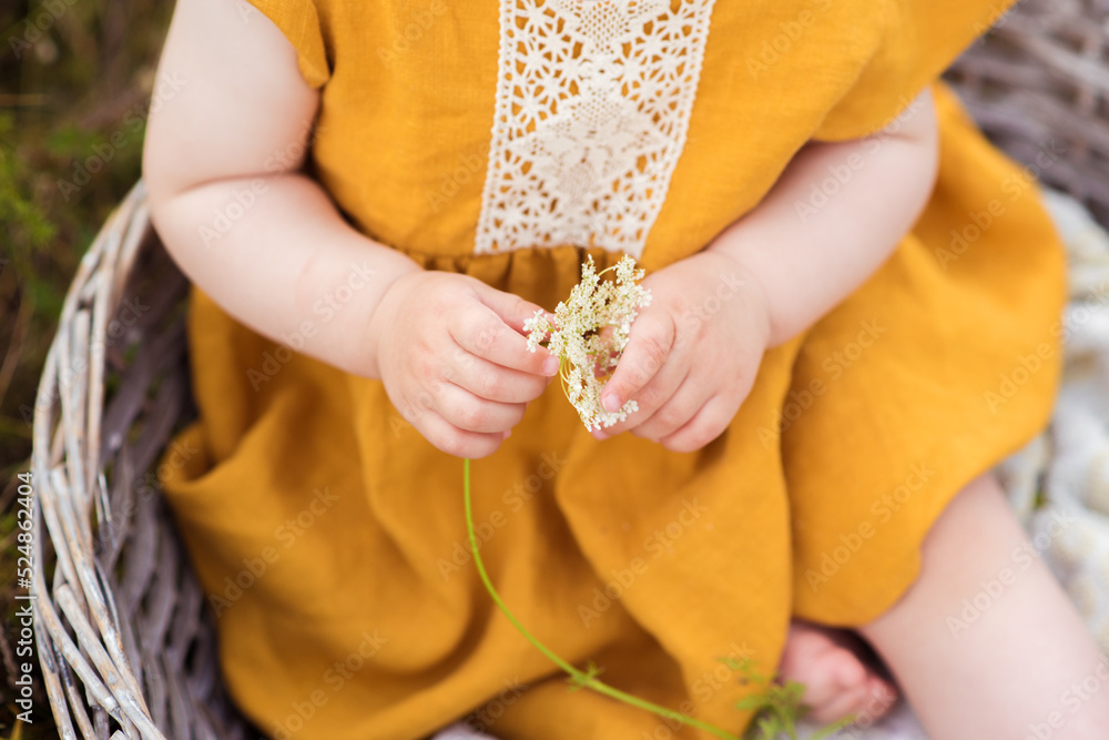 Child girl in a basket with an autumn flower in her hands. Close-up Child girl in a basket with an autumn flower in her hands. Close-up