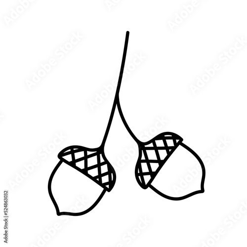 Isolated doodle acorn. Outline vector illustration of autumn acorn clip art	
