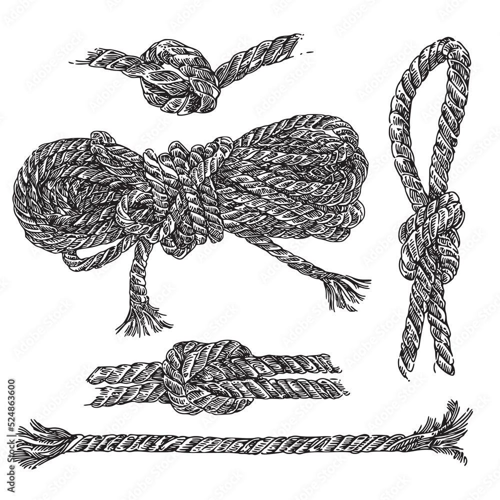 Set of ropes and knots. Sketch. Engraving style. Vector illustration