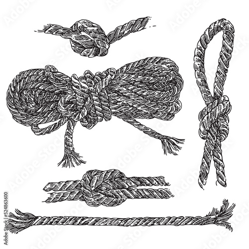 Set of ropes and knots. Sketch. Engraving style. Vector illustration.