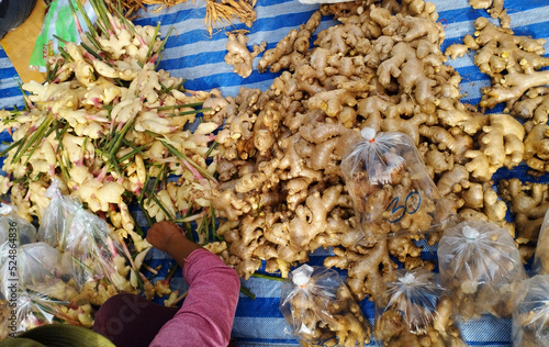 Ginger and Galangal on Thai local Vegetable Market