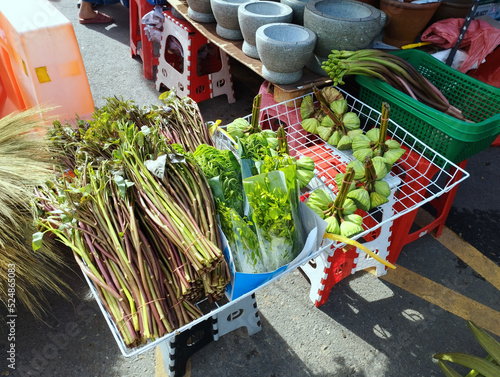 selling vegetables in the market