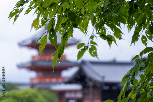雨の清水寺 三重塔