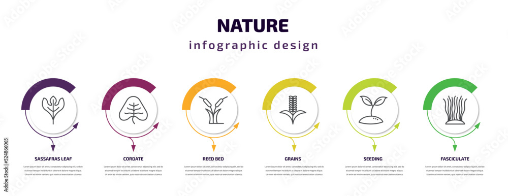 nature infographic template with icons and 6 step or option. nature icons such as sassafras leaf, cordate, reed bed, grains, seeding, fasciculate vector. can be used for banner, info graph, web, nature infographic template with icons and 6 step or option. nature icons such as sassafras leaf, cordate, reed bed, grains, seeding, fasciculate vector. can be used for banner, info graph, web,