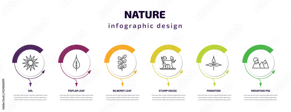 nature infographic template with icons and 6 step or option. nature icons such as sol, poplar leaf, bilberry leaf, stump house, pinnation, mountain pse vector. can be used for banner, info graph, nature infographic template with icons and 6 step or option. nature icons such as sol, poplar leaf, bilberry leaf, stump house, pinnation, mountain pse vector. can be used for banner, info graph,