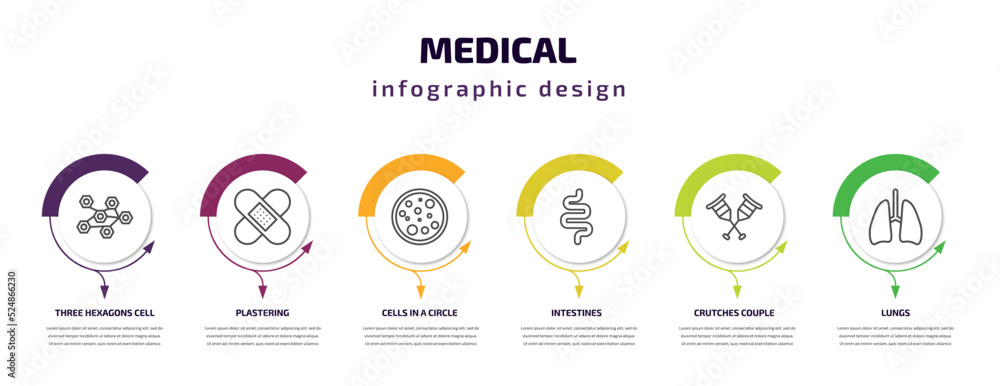 medical infographic template with icons and 6 step or option. medical icons such as three hexagons cell, plastering, cells in a circle, intestines, crutches couple, lungs vector. can be used for medical infographic template with icons and 6 step or option. medical icons such as three hexagons cell, plastering, cells in a circle, intestines, crutches couple, lungs vector. can be used for
