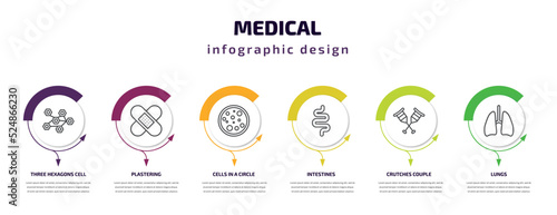 medical infographic template with icons and 6 step or option. medical icons such as three hexagons cell, plastering, cells in a circle, intestines, crutches couple, lungs vector. can be used for