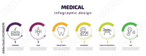 medical infographic template with icons and 6 step or option. medical icons such as epidermis, knee, molar tooth, nutrionist, table of treatments, ear vector. can be used for banner, info graph,
