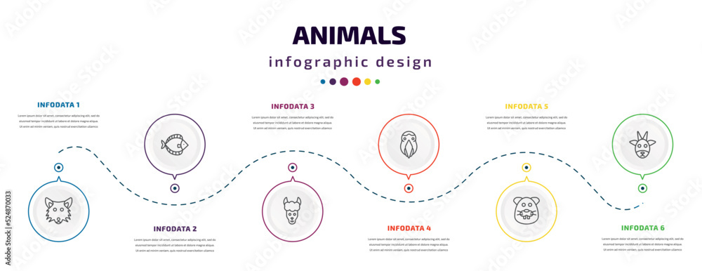 Fototapeta premium animals infographic element with icons and 6 step or option. animals icons such as wolf, flounder, lama, aw, beaver, goat vector. can be used for banner, info graph, web, presentations.