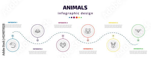 animals infographic element with icons and 6 step or option. animals icons such as chameleon, seal, hyena, snigir, rabbit, fennec fox vector. can be used for banner, info graph, web, presentations.