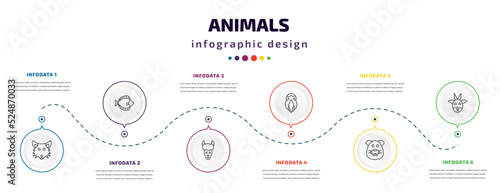 Fotografiet animals infographic element with icons and 6 step or option