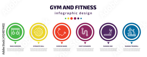 gym and fitness infographic element with icons and 6 step or option. gym and fitness icons such as rings exercises, gymnastic ball, exercise bands, chest expanders, running hine, running treadmill