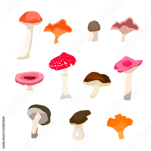 Forest mushrooms. Set of chanterelle, porcini mushroom, toadstool, fly agaric, champignon and other. Cute mushrooms isolated on white background. Graphic autumn flat design. Vector illustration