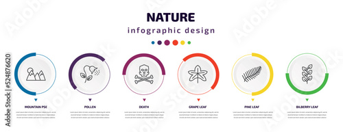 nature infographic element with icons and 6 step or option. nature icons such as mountain pse, pollen, death, grape leaf, pine leaf, bilberry leaf vector. can be used for banner, info graph, web,