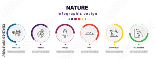 nature infographic element with icons and 6 step or option. nature icons such as briar leaf, hibiscus, spruce, dune, stump house, falling debris vector. can be used for banner, info graph, web,