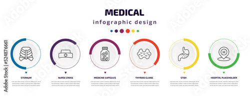 medical infographic element with icons and 6 step or option. medical icons such as sternum  nurse cross  medicine capsules  thyroid gland  stoh  hospital placeholder vector. can be used for banner 