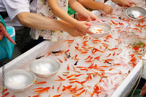Canvas Print Fishing Golden Fish, Japanese Traditional Summer Festival, Matsuri - 日本 お祭り 金魚釣り