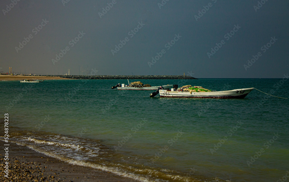 Naklejka premium Plage de Fujairah
