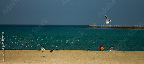 Plage de Fujairah photo