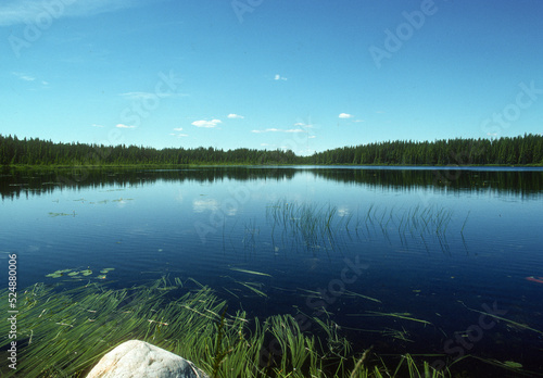 Réserve faunique La Vérendrye, Quebec, Canada photo