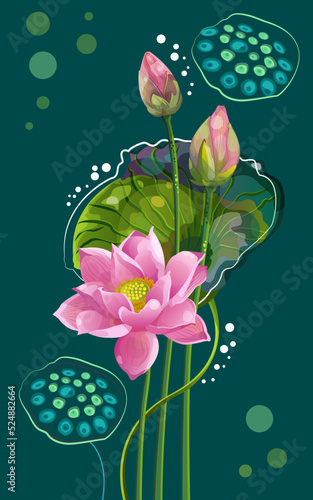 Lotus, water plants, flowers on a blue background. Vector illustration.