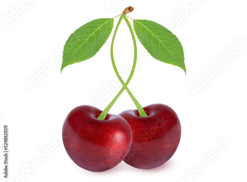Cherry on an isolated white background