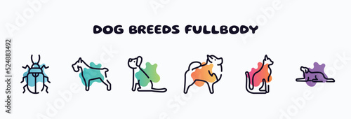 dog breeds fullbody outline icons set. thin line icons such as pollen beetle, miniature schnauzer, yorkshire terrier, pomeranian, egyptian cat, border collie icon collection. can be used web and © VectorStockDesign
