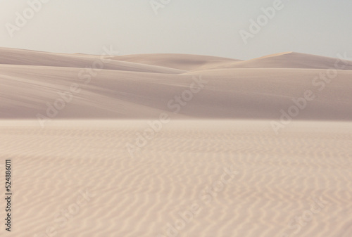 sand dunes in the desert