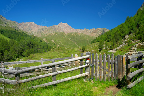 wooden fence with gate on an alpine meadow in südtirol