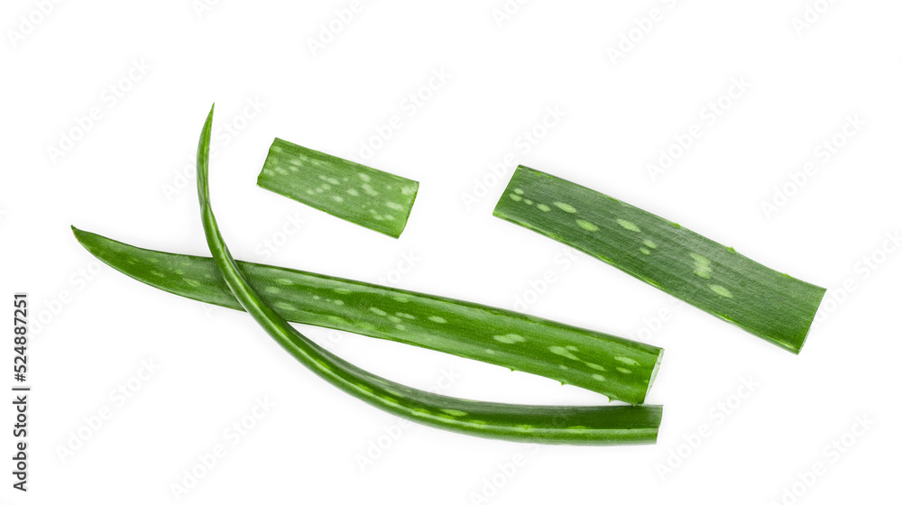 Aloe leaves isolated on a white background, top view Aloe leaves isolated on a white background, top view