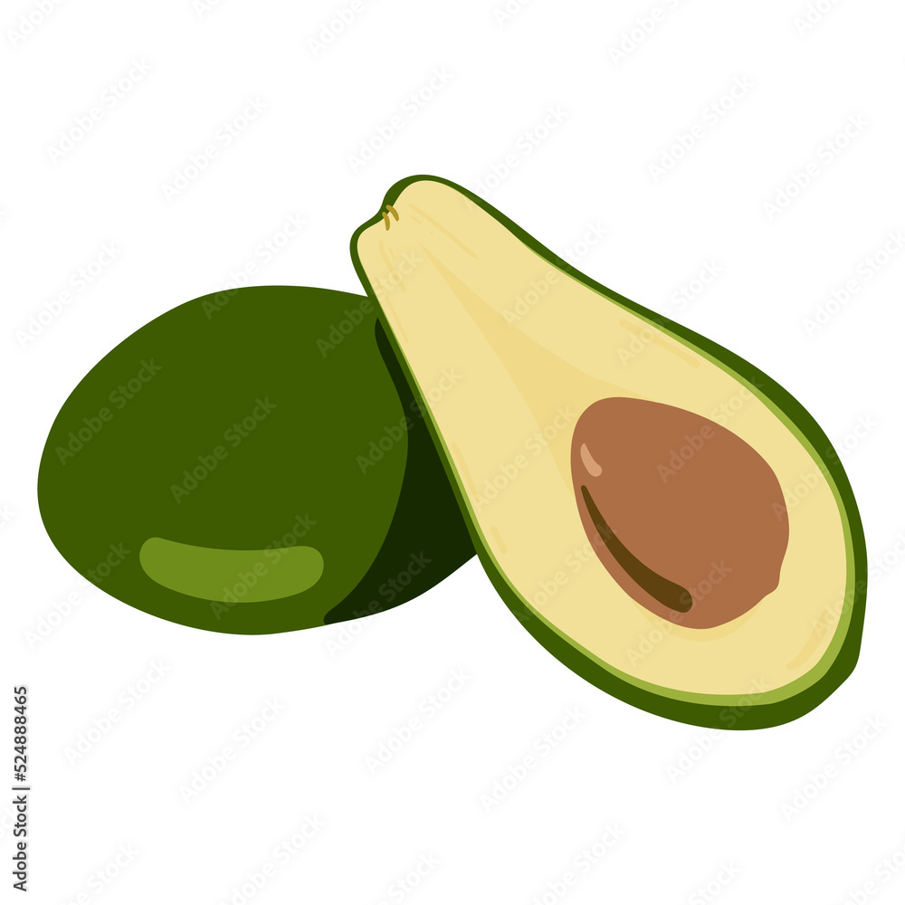 Avocado fruit. fruit in a simple illustration with gradient color Avocado fruit. fruit in a simple illustration with gradient color