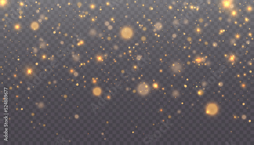 Glowing light effect with many glitter particles isolated on transparent background. Vector star cloud with dust.