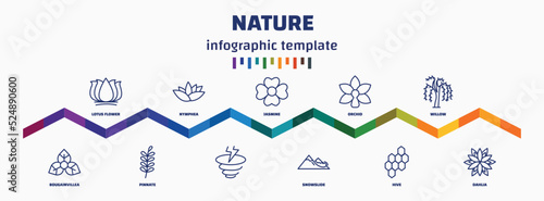 infographic template with icons and 11 options or steps. infographic for nature concept. included lotus flower, bougainvillea, nymphea, pinnate, jasmine, , orchid, snowslide, willow, dahlia icons.