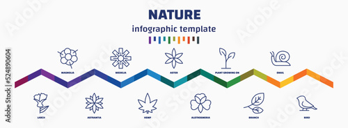 infographic template with icons and 11 options or steps. infographic for nature concept. included magnolia, larch, wedelia, astrantia, aster, hemp, plant growing on book, alstroemeria, snail, bird