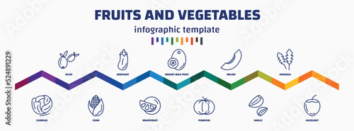 infographic template with icons and 11 options or steps. infographic for fruits and vegetables concept. included olive, cabbage, eggplant, corn, breast milk fruit, grapefruit, melon, pumpkin,