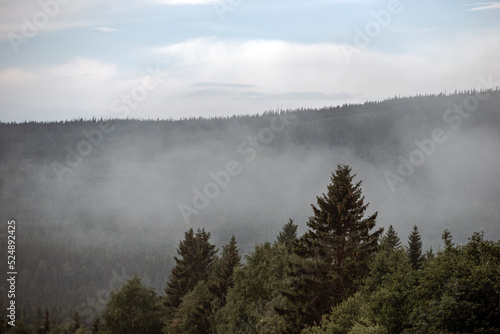 fog in the mountains © Mats