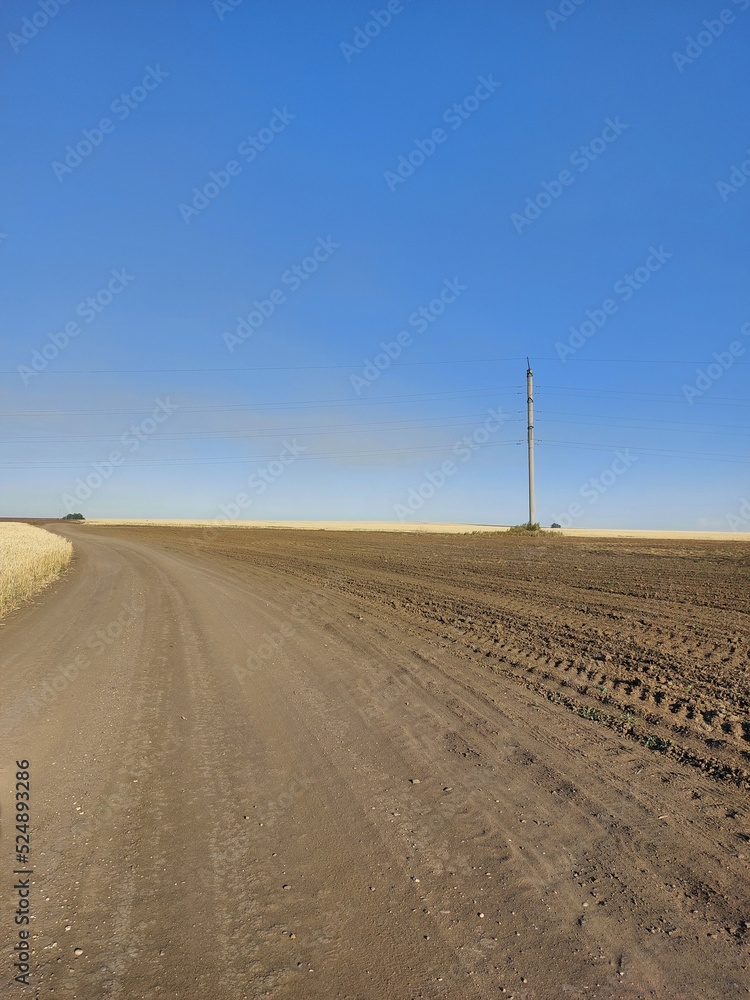 Fototapeta premium road in the desert
