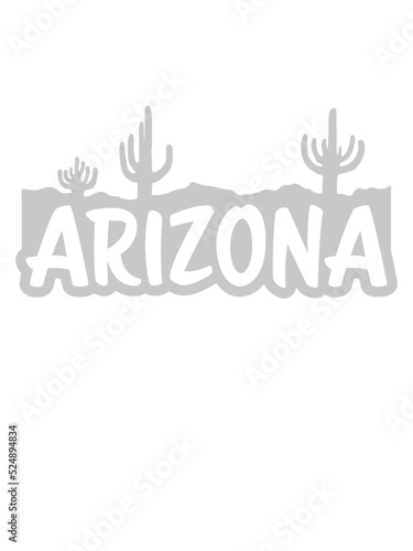USA Arizona Wüste Landschaft 