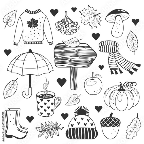Autumn monochrome collection. Clipart set with autumn leaves, pumpkin, acorn, sweater, hat, scarf, cup of hot tea, mushrooms and other symbols of fall. Isolated objects. Vector illustration. Outline.