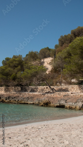 Blue and crystal clear waters of the Mediterranean Sea next to the pine trees on the island of Mallorca