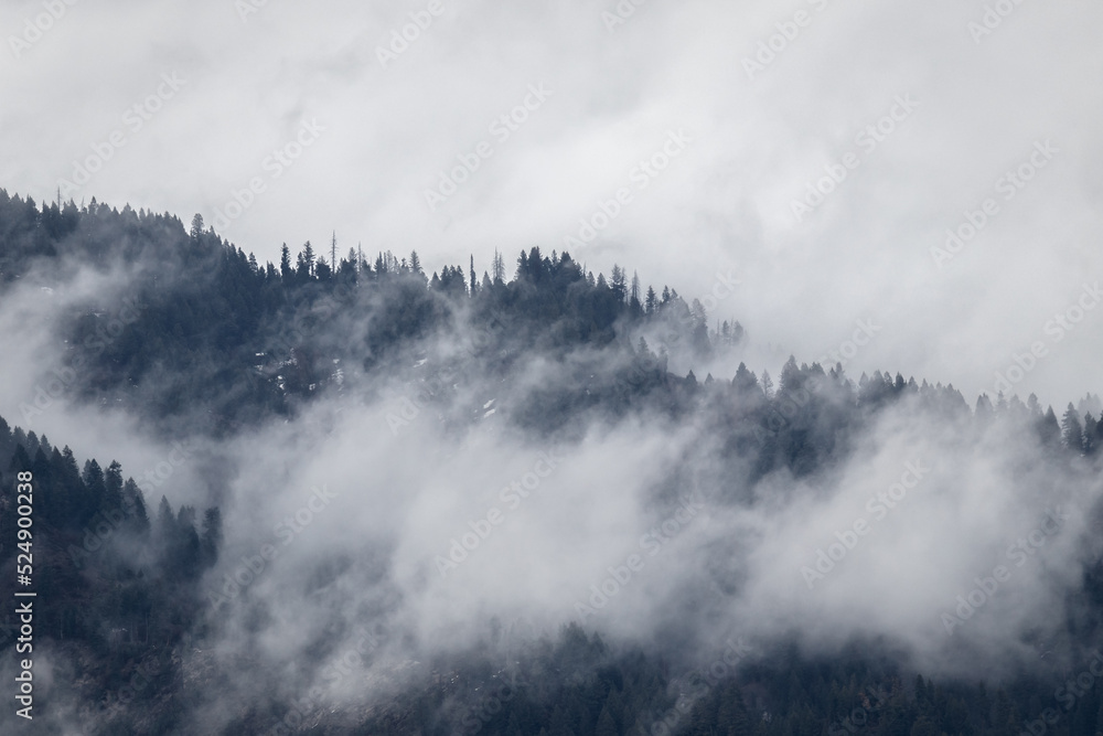 Foggy clouds over the mountainside in Idaho, pacific northwest