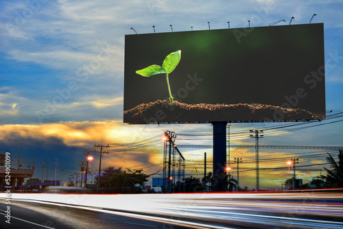Fotografi The Sapling are growing from the soil with sunlight	 advertise on billboard blan
