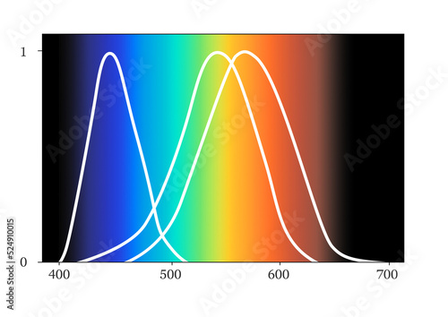 Human perception, vision, SML eye receptors