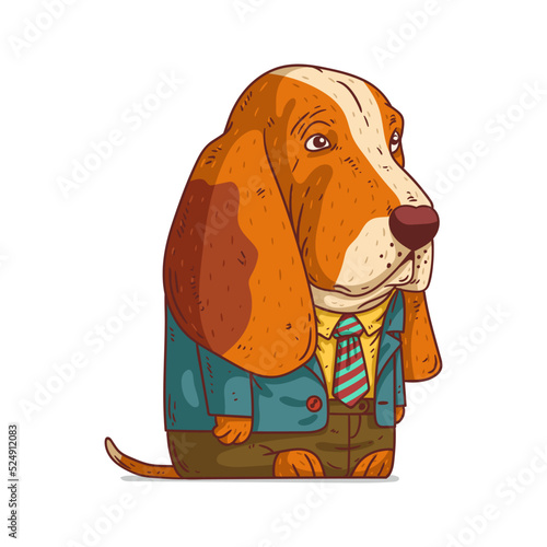 A Stylish Basset Hound, isolated vector illustration. Funny cartoon picture of a dog wearing a costume. An animal sticker. Simply drawn anthropomorphic basset on white background. A dressed animal. photo