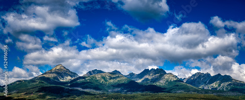 Fototapeta Naklejka Na Ścianę i Meble -  Landscape photo of nature in Slovakia. Beautiful summer landscape. Tatra Mountains in background.