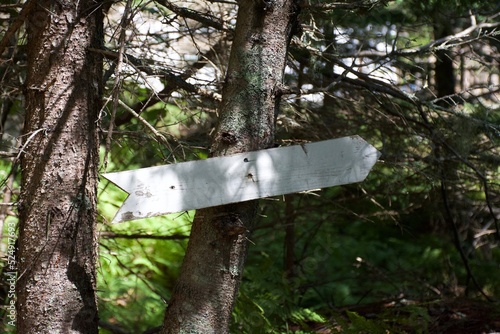 white arrow on a tree in the woods