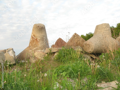 breakwaters on a shore