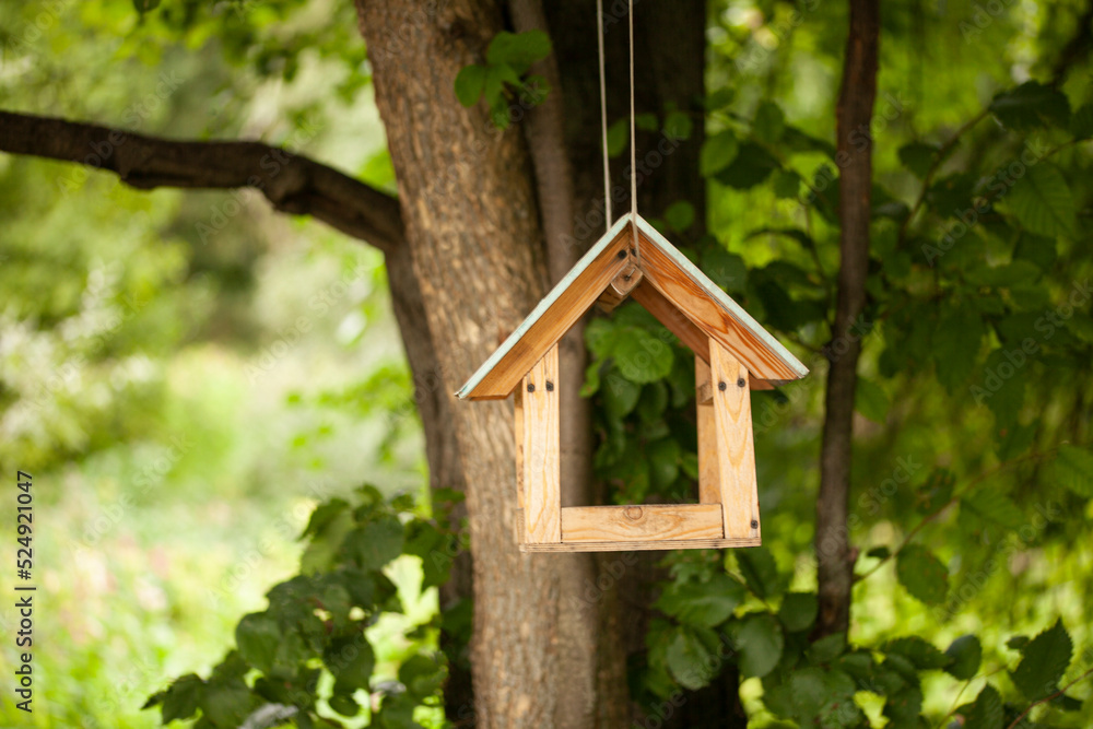 Birdhouses and bird feeder in the forest on a blurry background of greenery. Save birds. Bird feeding Birdhouses and bird feeder in the forest on a blurry background of greenery. Save birds. Bird feeding