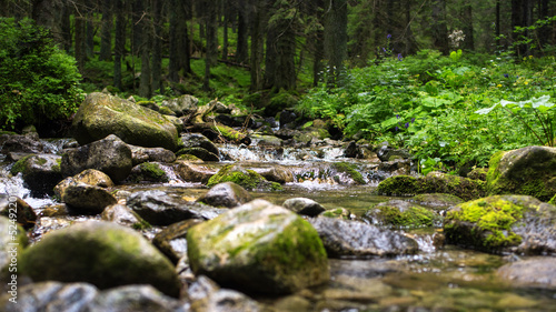 Small stream in the middle of amazing nature. Relax and free time. 